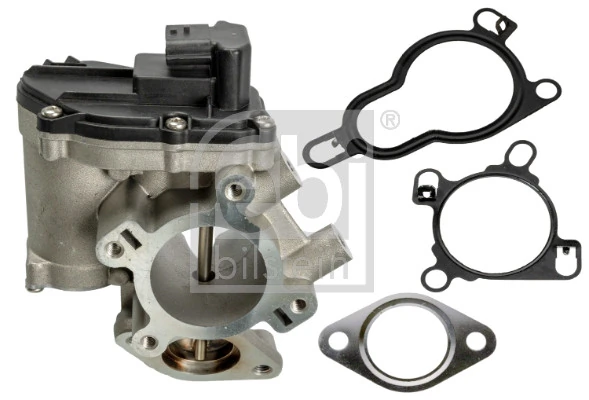 EGR Valve